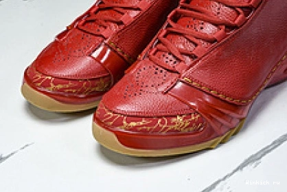 Chicago 23 Jordan 1115